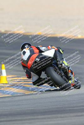 media/Mar-10-2024-SoCal Trackdays (Sun) [[6228d7c590]]/9-Turn 8 Backside (1150am)/